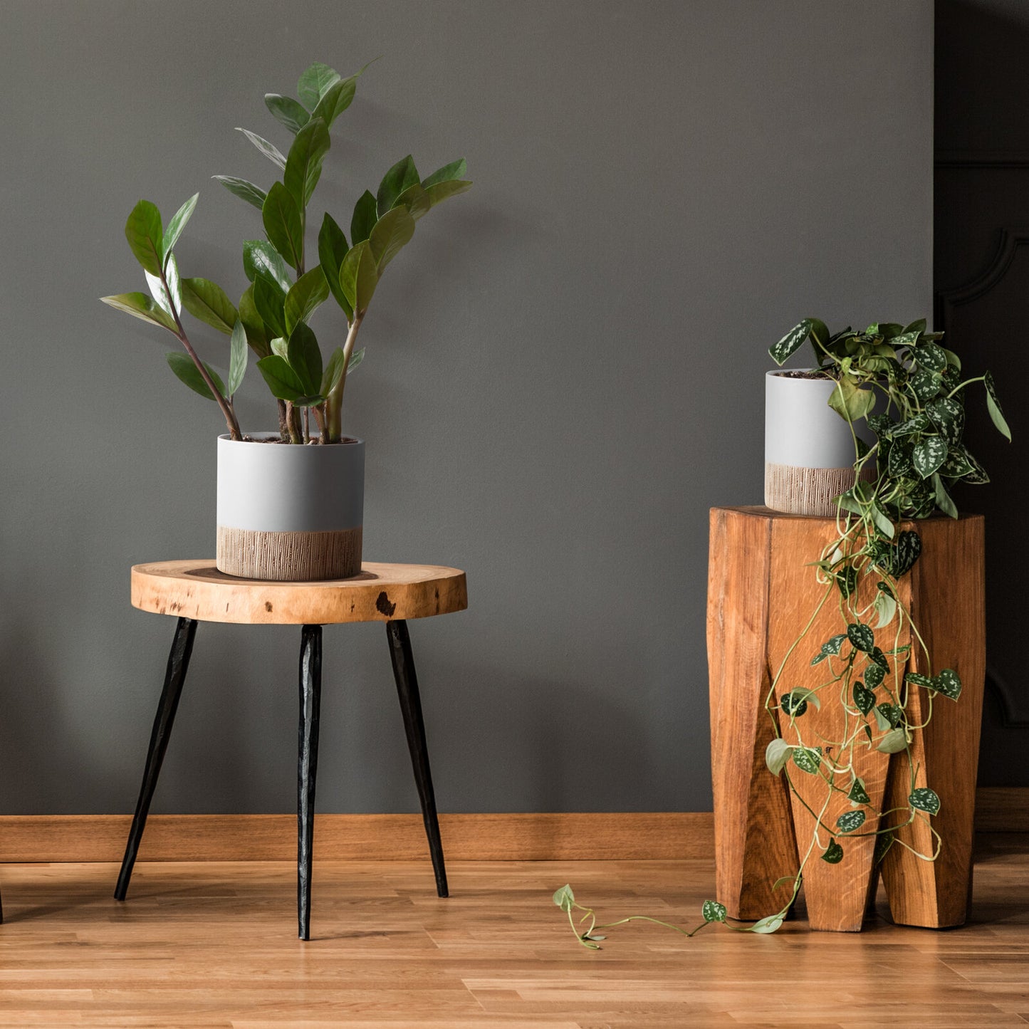 7d904ef4cd5c1db37fd9e1a30e1b8ce0