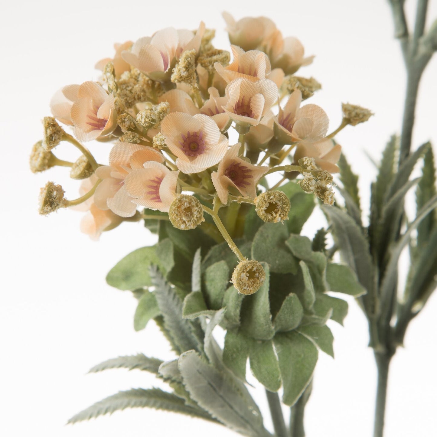 cdf4c911bfeb38a0be61374bf0bfe4c4