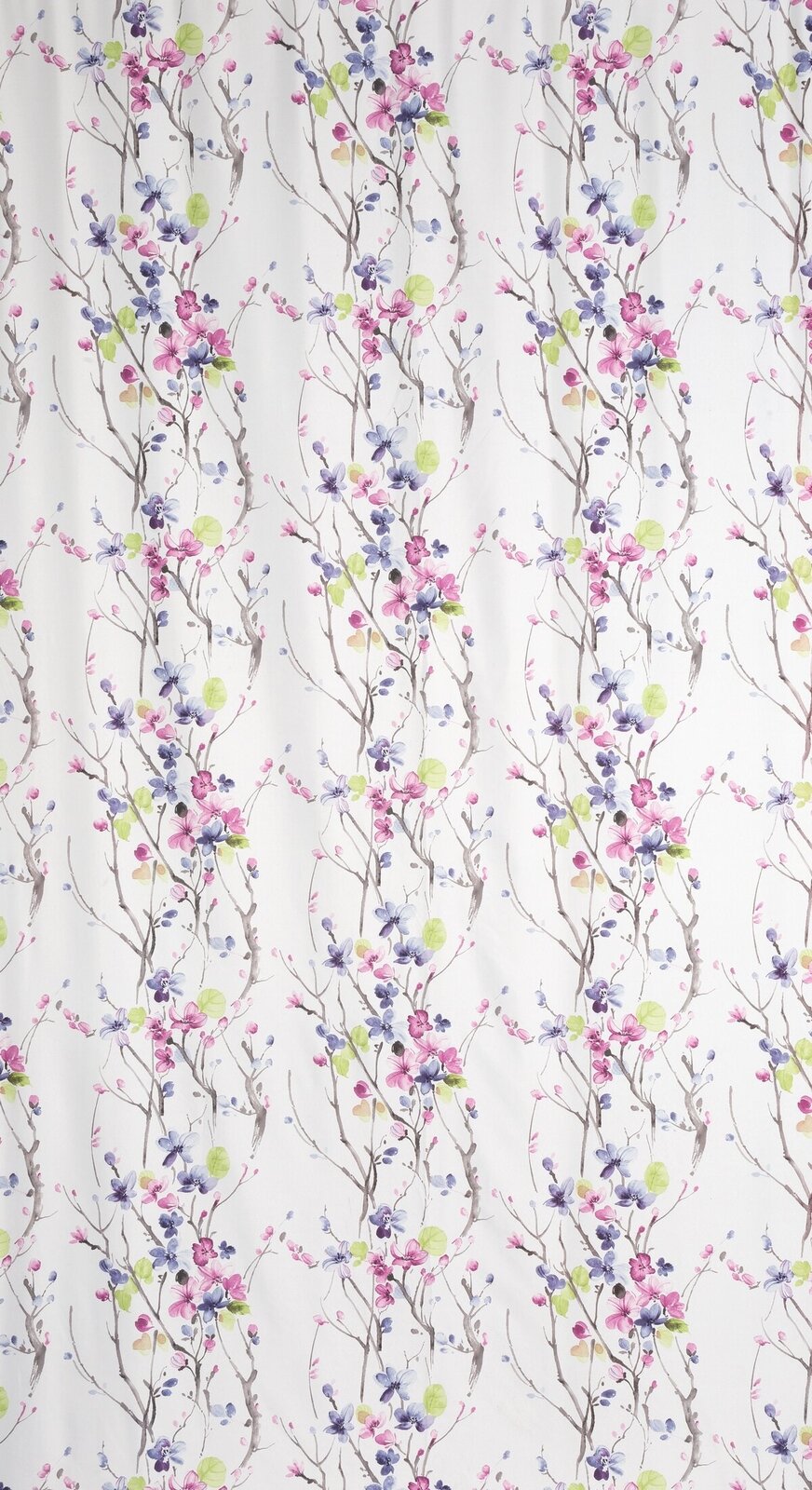 52210f2f36096693eaccbd3038e2d681