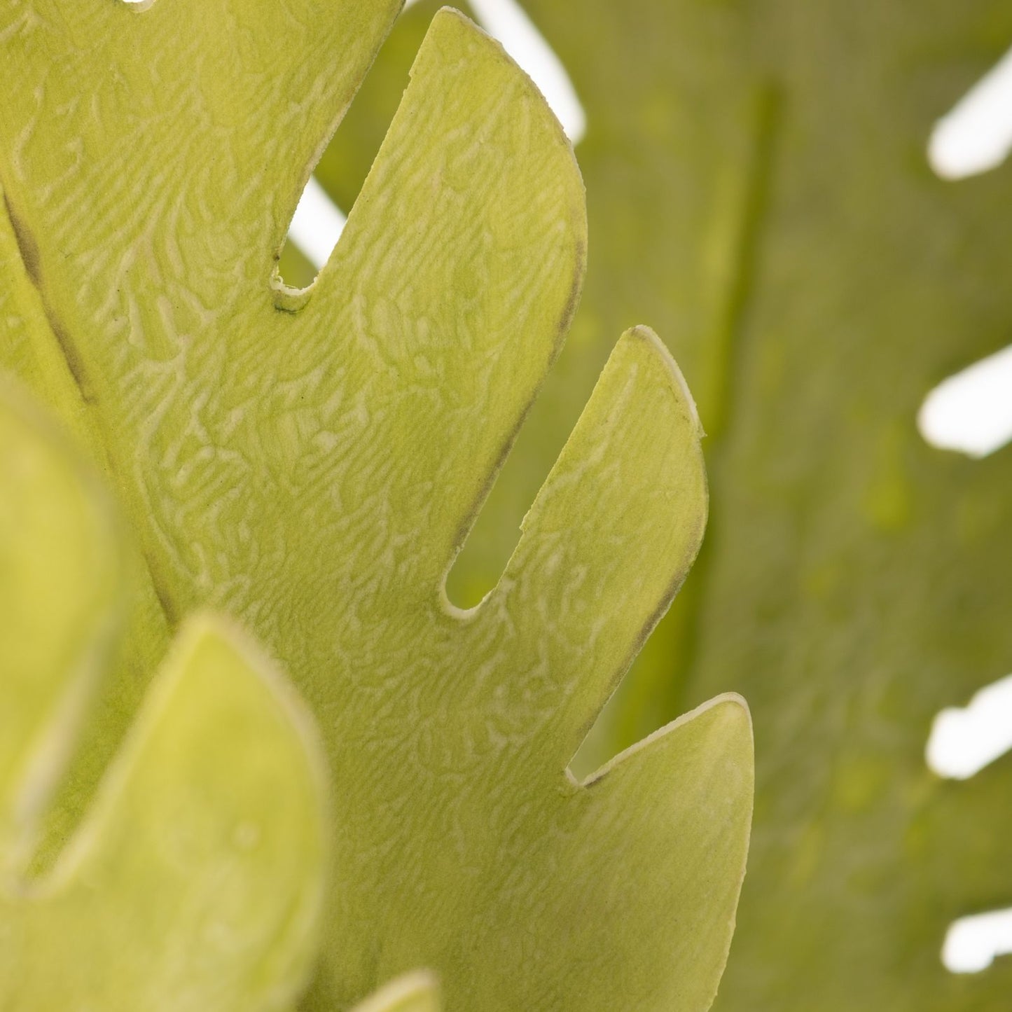 0606886afe2717ee4308cff7c571d651