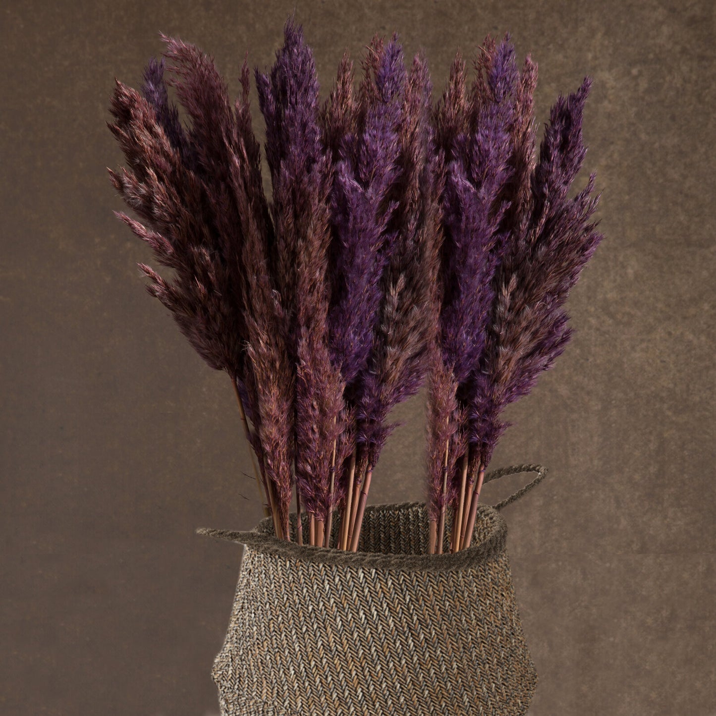 baa904181f332c4edb0651796d760ffe