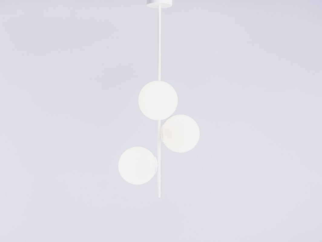 ddbb8e3b8ded1cbd74a231224543e964