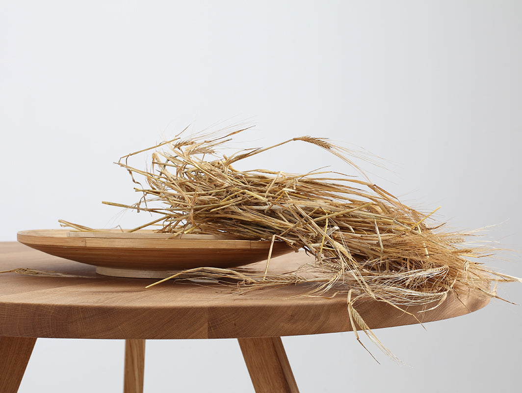 a43aba95a3a49504a0279fb426128535