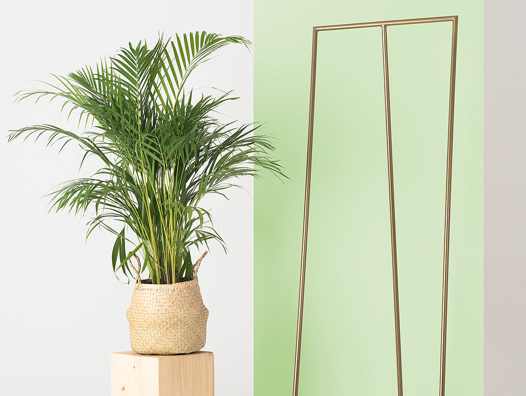 bf55722d3f120252e1bee64cae89f60d