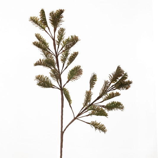 95c4bc8707870a60472278c0f8a0ca28