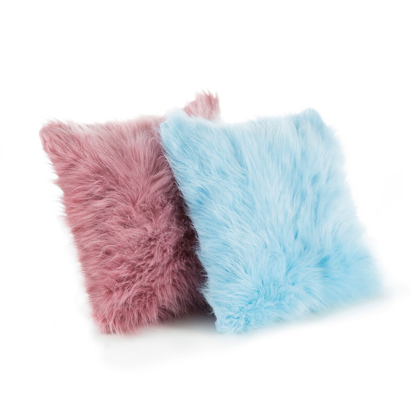 12dff06fb21a556901d22be9d518f3ab