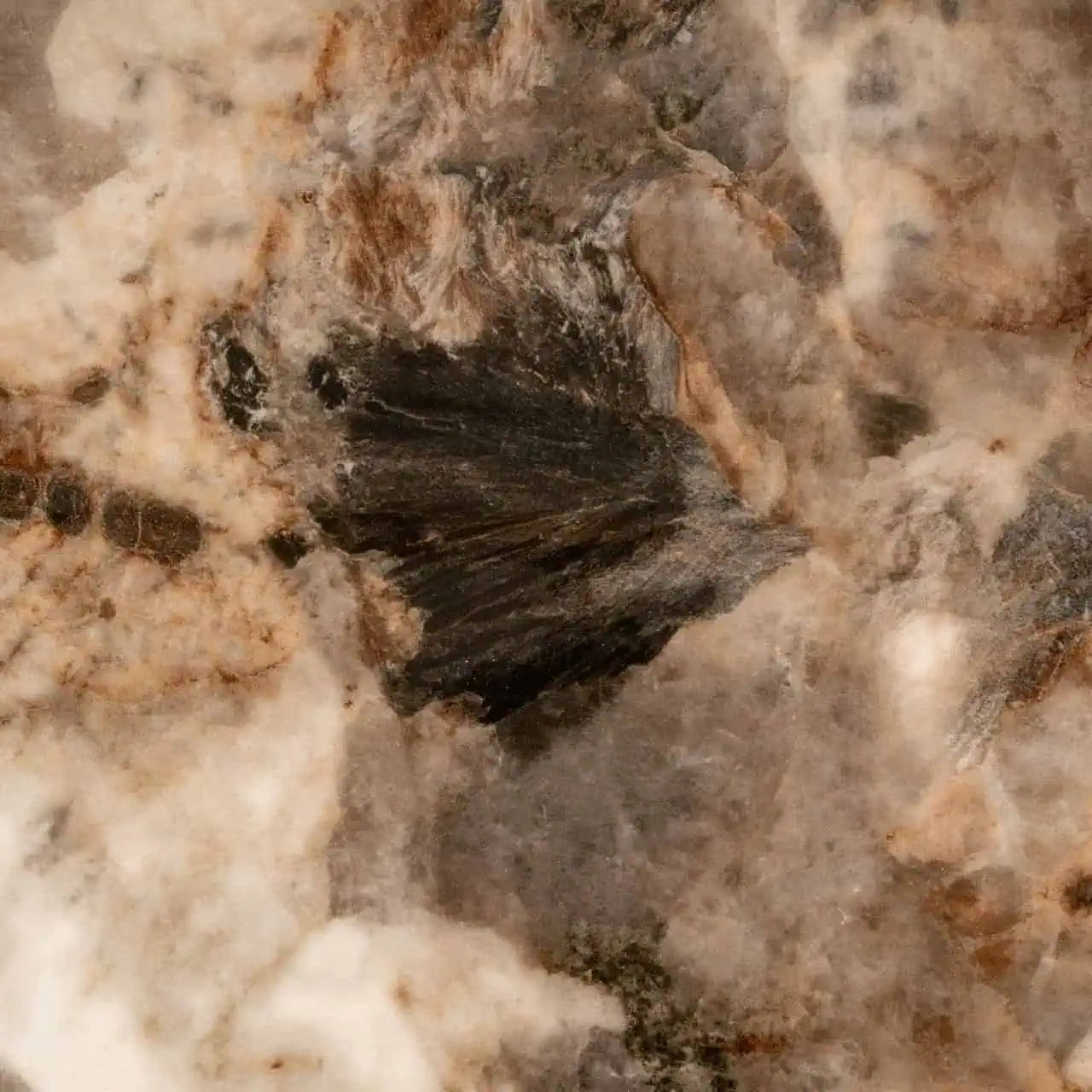 Kafijas galds Langford brown Richmond Interiors 37/135/80 vm brūns - N1 Home