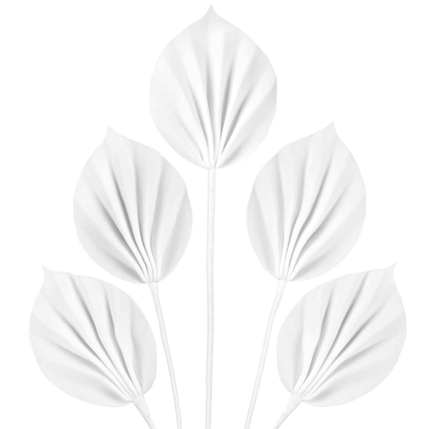 29be8efd57ab1690da1ce1d8b21a8683