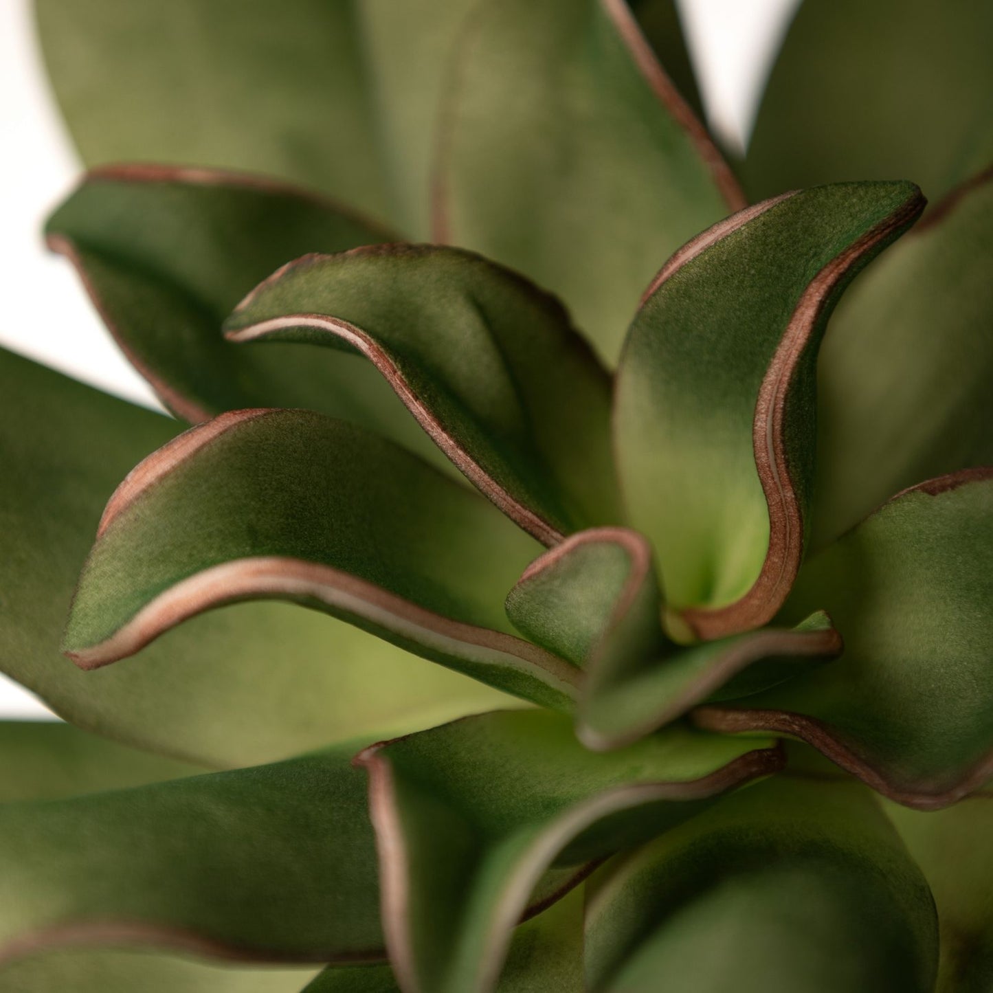 19d95a27daca55e1137e4b8b6df71673