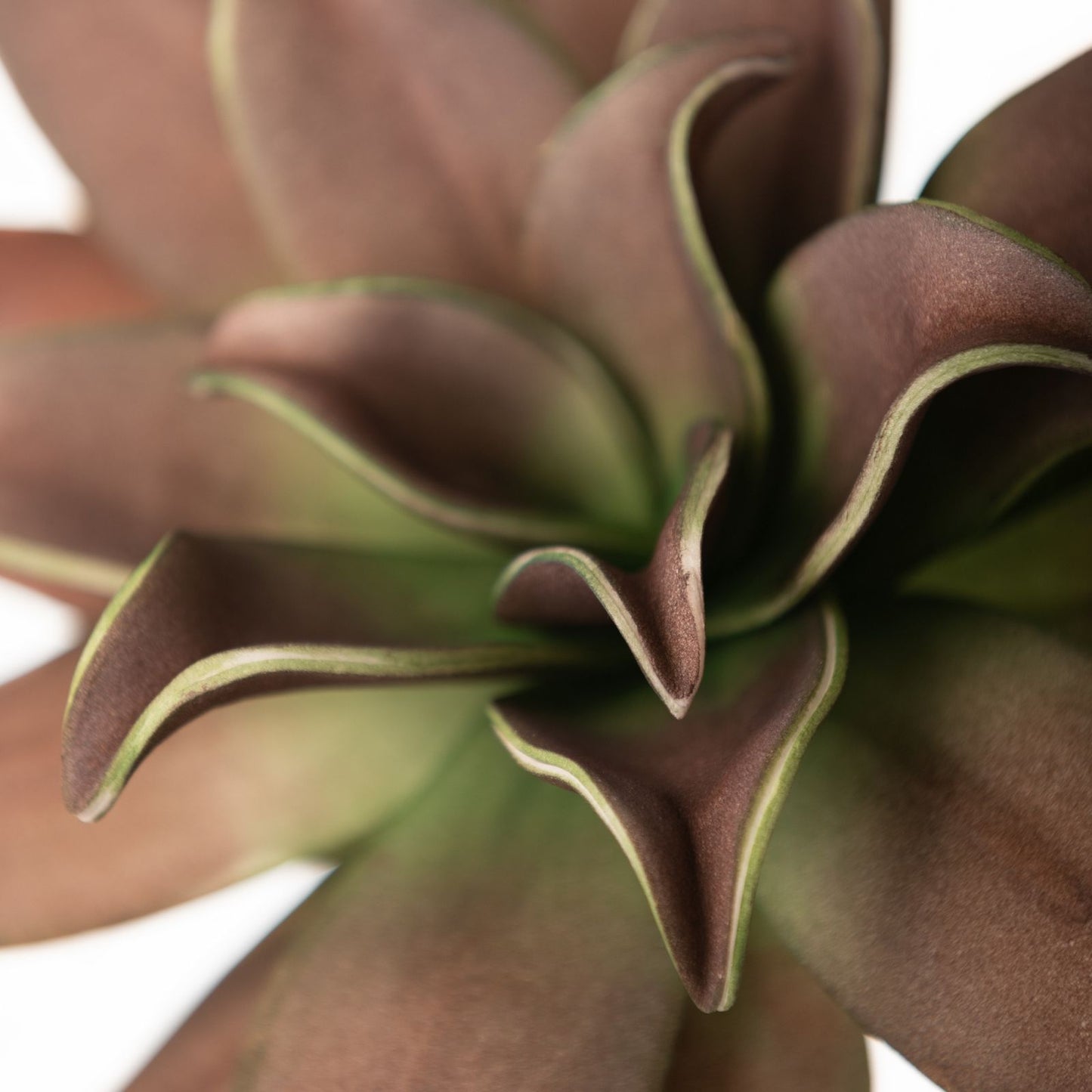 c3c0739322206c31059d336523b6e163