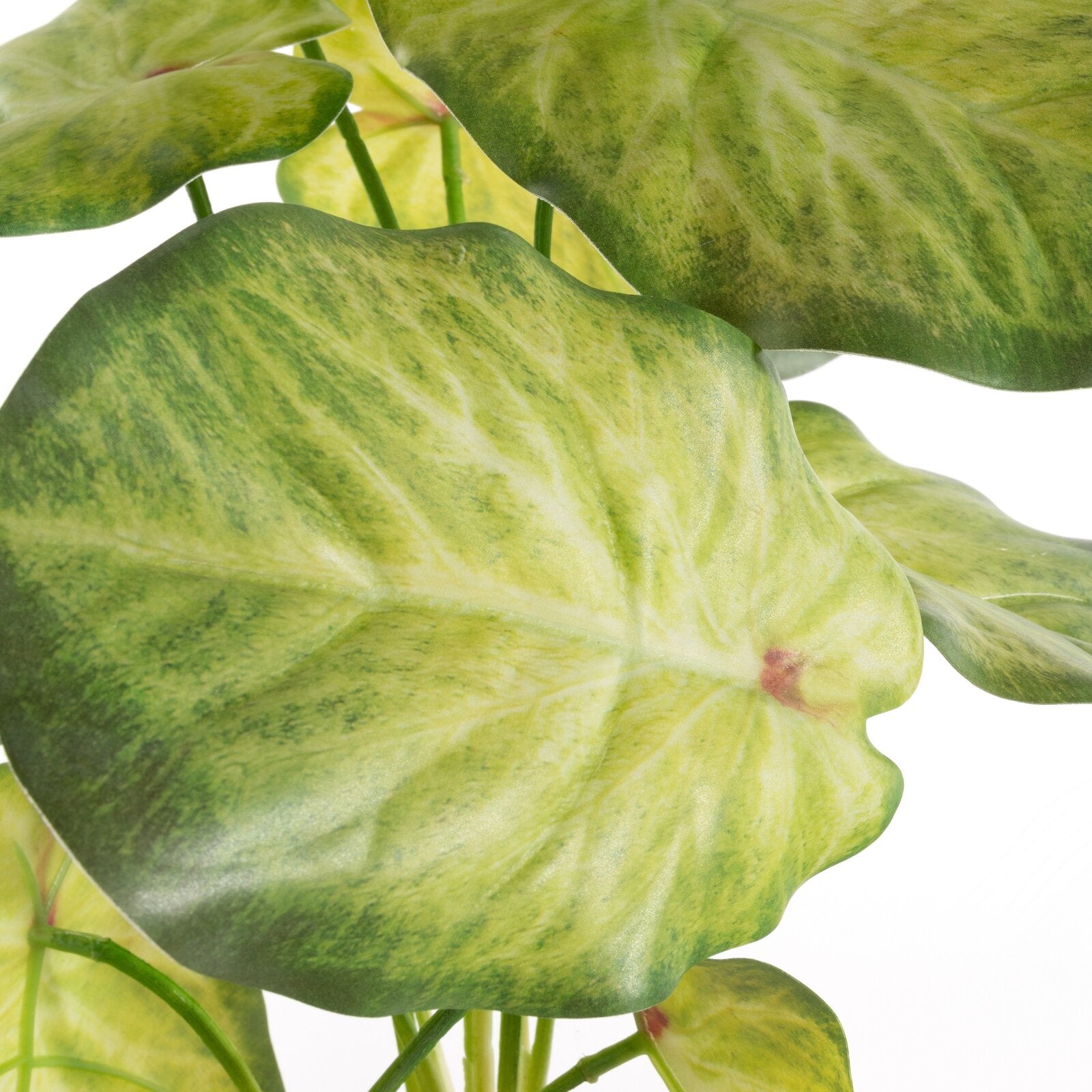 a67157f32b5db97ef1e49c072c642447