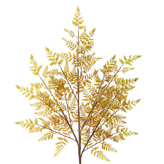 83c9586a0d8cdac7a184cafcfd19de72