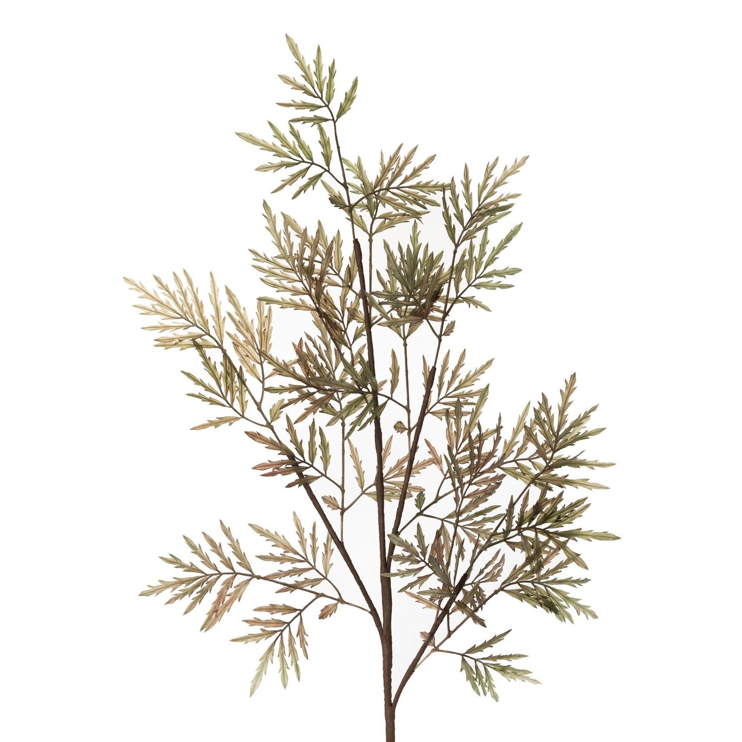 81ec7aa2a4e784b35caa025a0ea76cd3