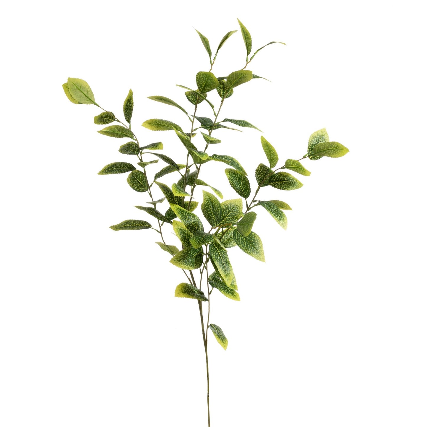 7e0369d309877853e6797d5d7f47ba16