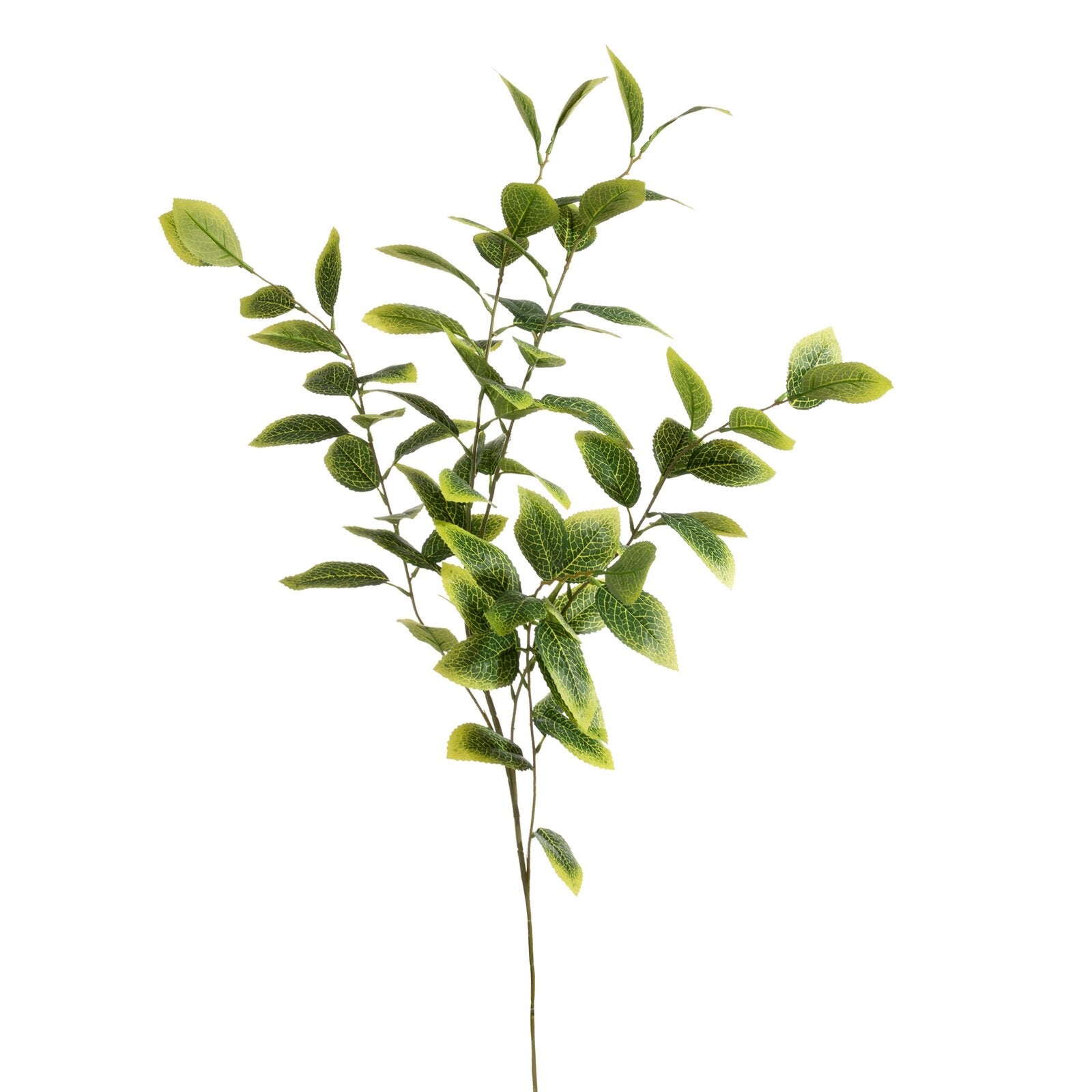 7e0369d309877853e6797d5d7f47ba16