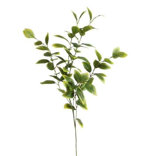 7e0369d309877853e6797d5d7f47ba16