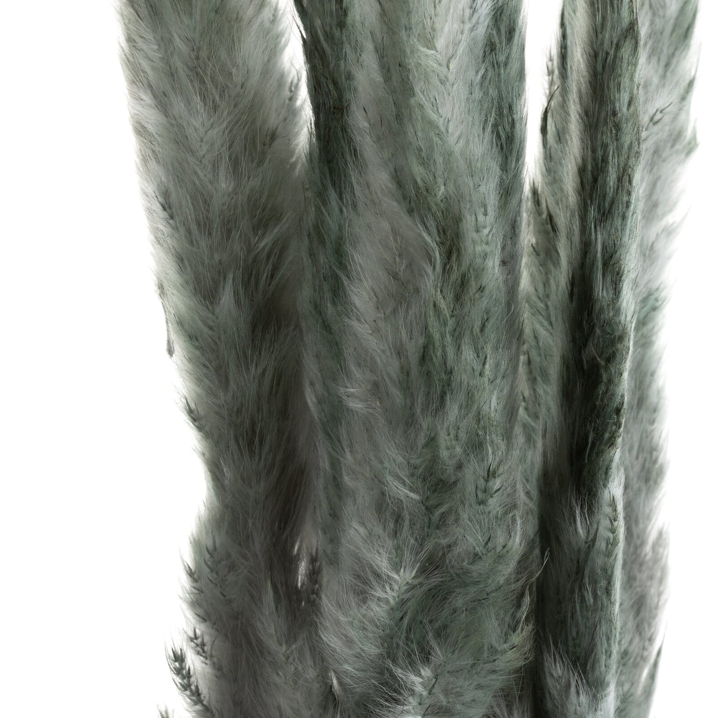 b2d61b0b45dbd1cda536bfb1ba24af82