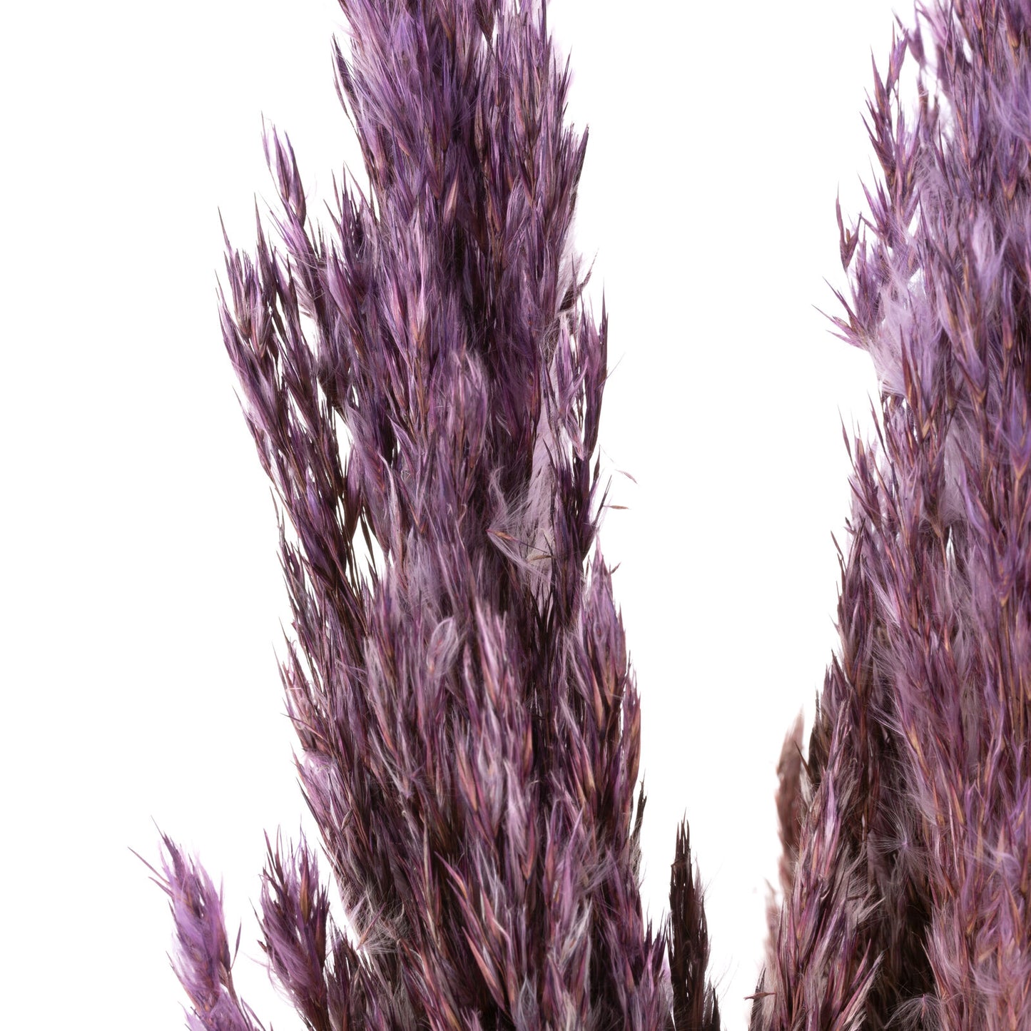 0ecbf4e3804ecbd3714ad54cdfac2aa0