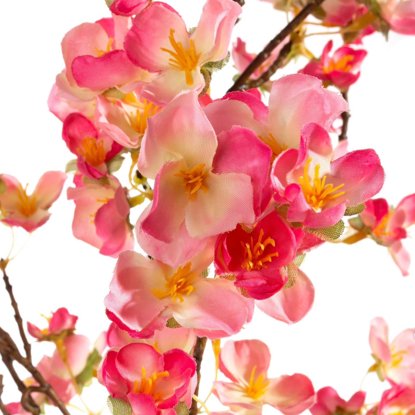 cb5ac1d5bfdb34d9b9e4c13ef32f63a7