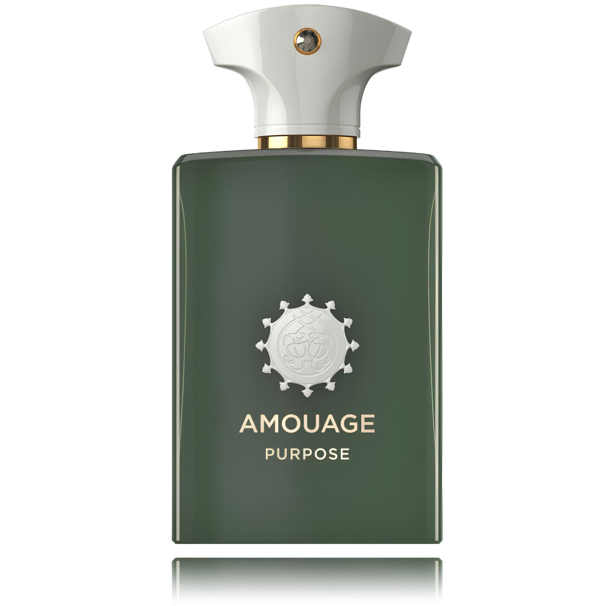 Amouage Purpose EDP U 100 ml - N1 Home
