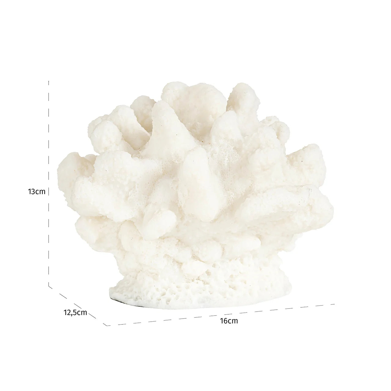 Dekoratīvs priekšmets Mākslīgais koraļļu ķēve Richmond Interiors 13/17/15 cm balts - N1 Home