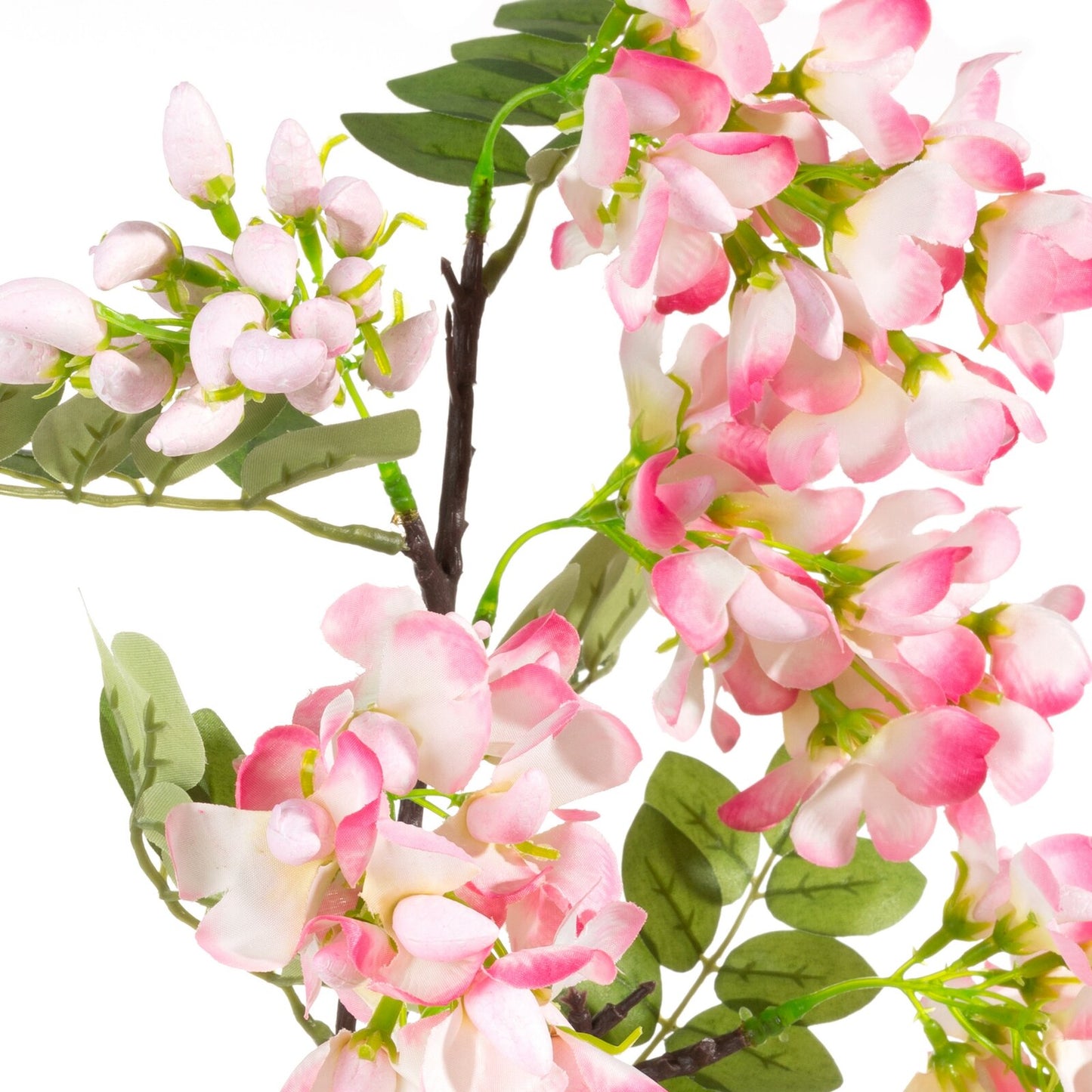 626c70bfbda82b553e2f6e82c6b38913