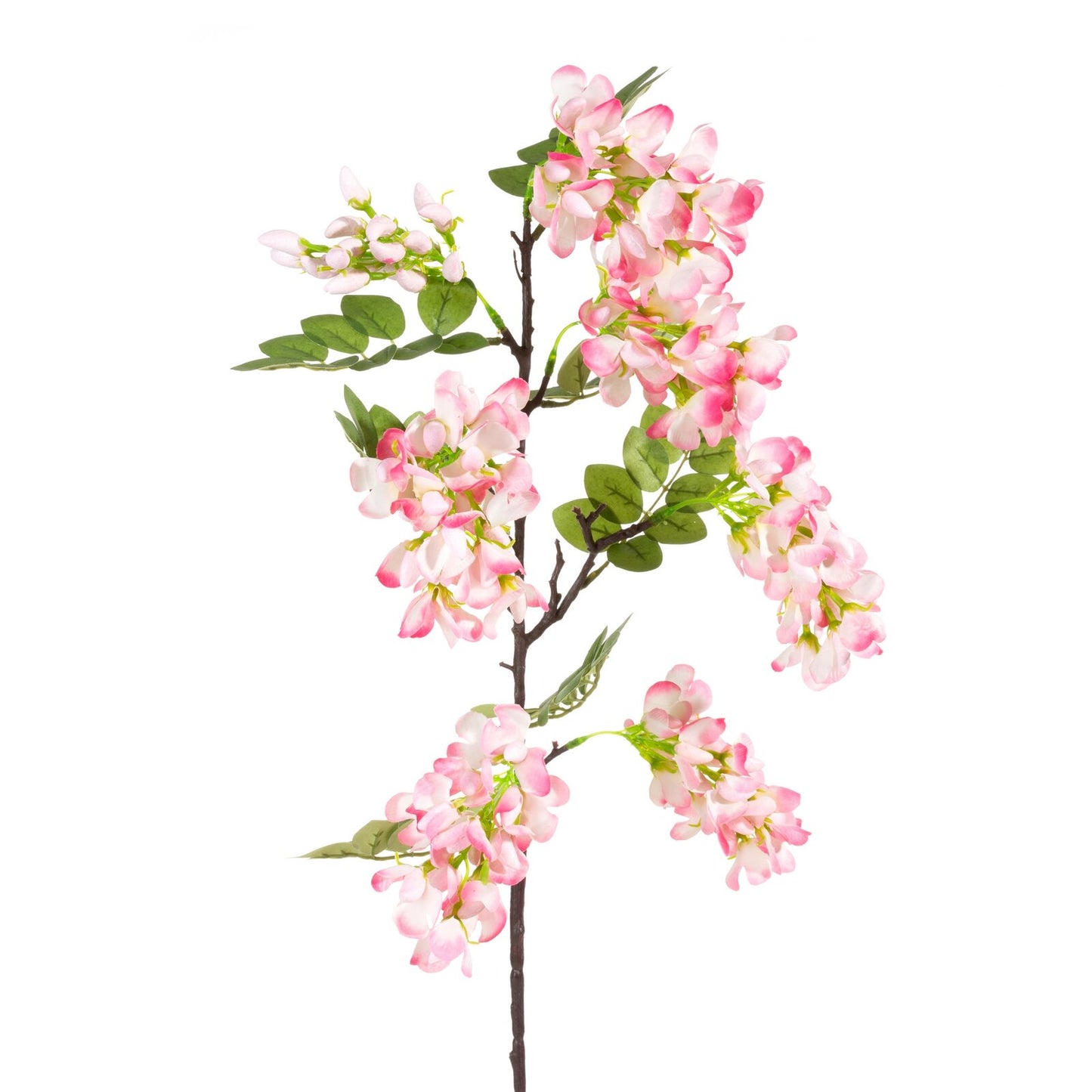 76f1eb4be4dd7aa41a8818ca8591c230