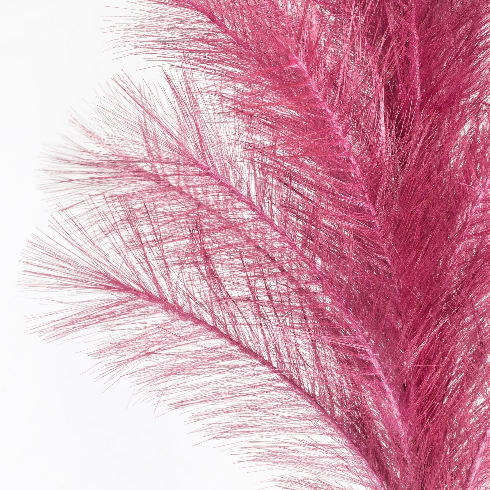 23706ef274f951e4b6bbeb903714311a