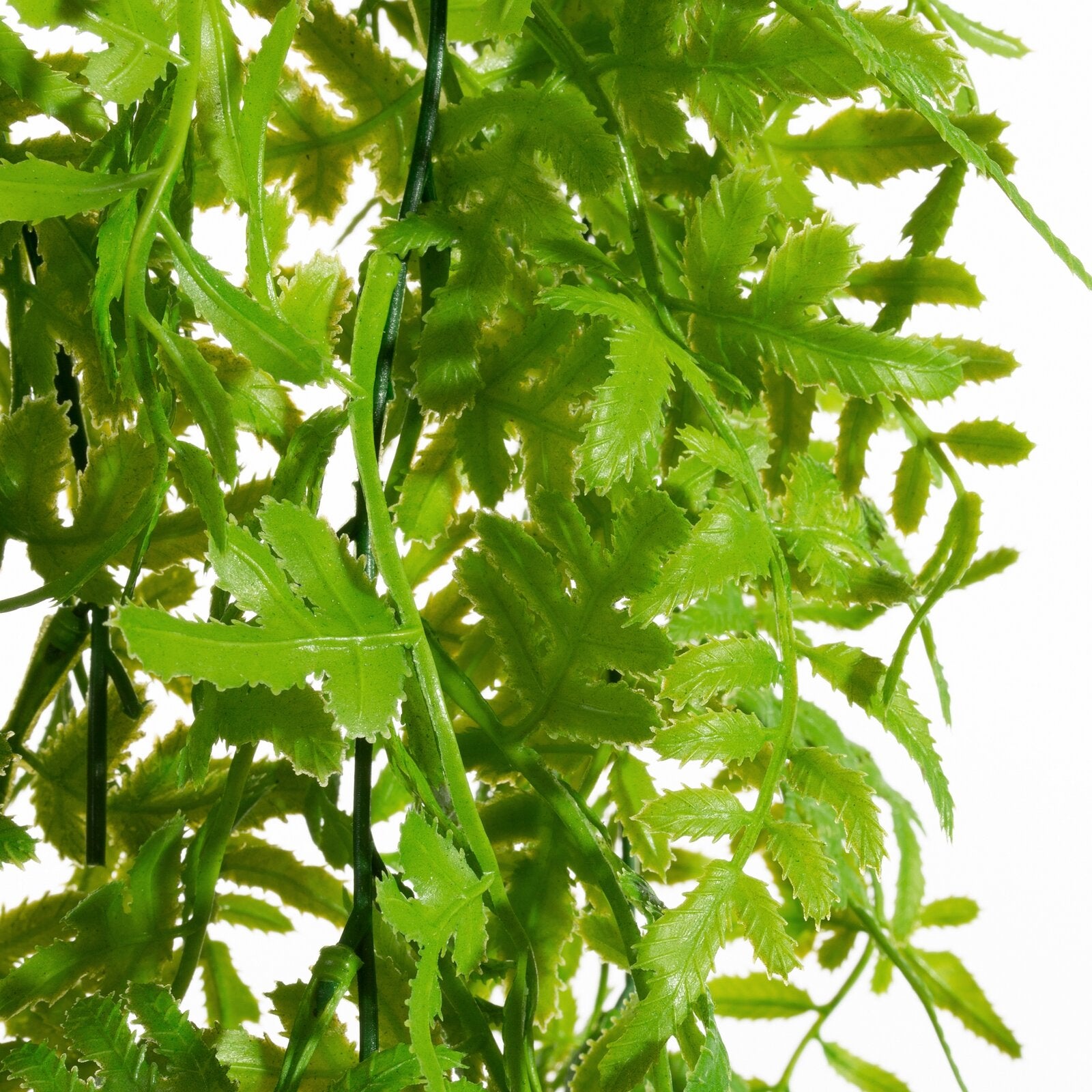 b7bf81faf9f43912626e94b3f764ce96