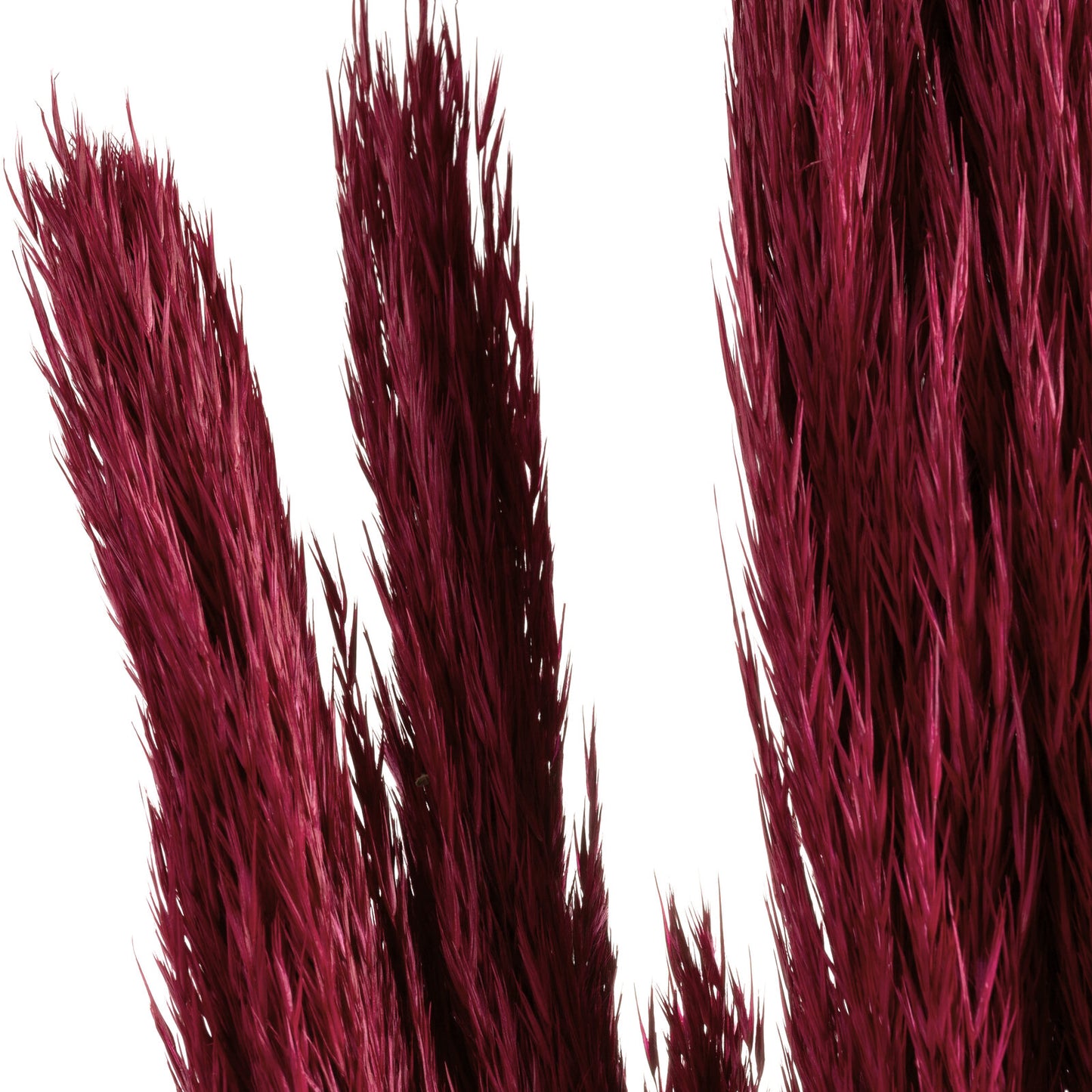 0c7348e38259adb25498a28d816008a9