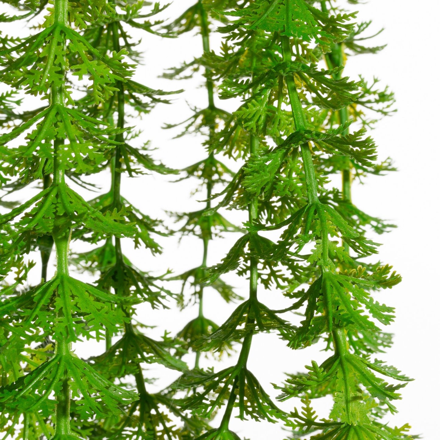 ab5df7b1024b16c519f4afe346e55bfb