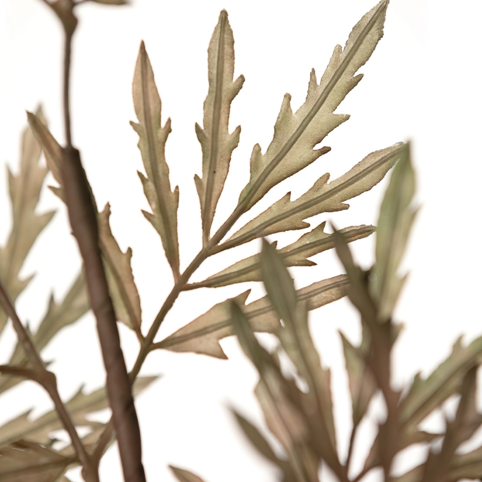 fa710e86771aedc17b45be65f6058f21