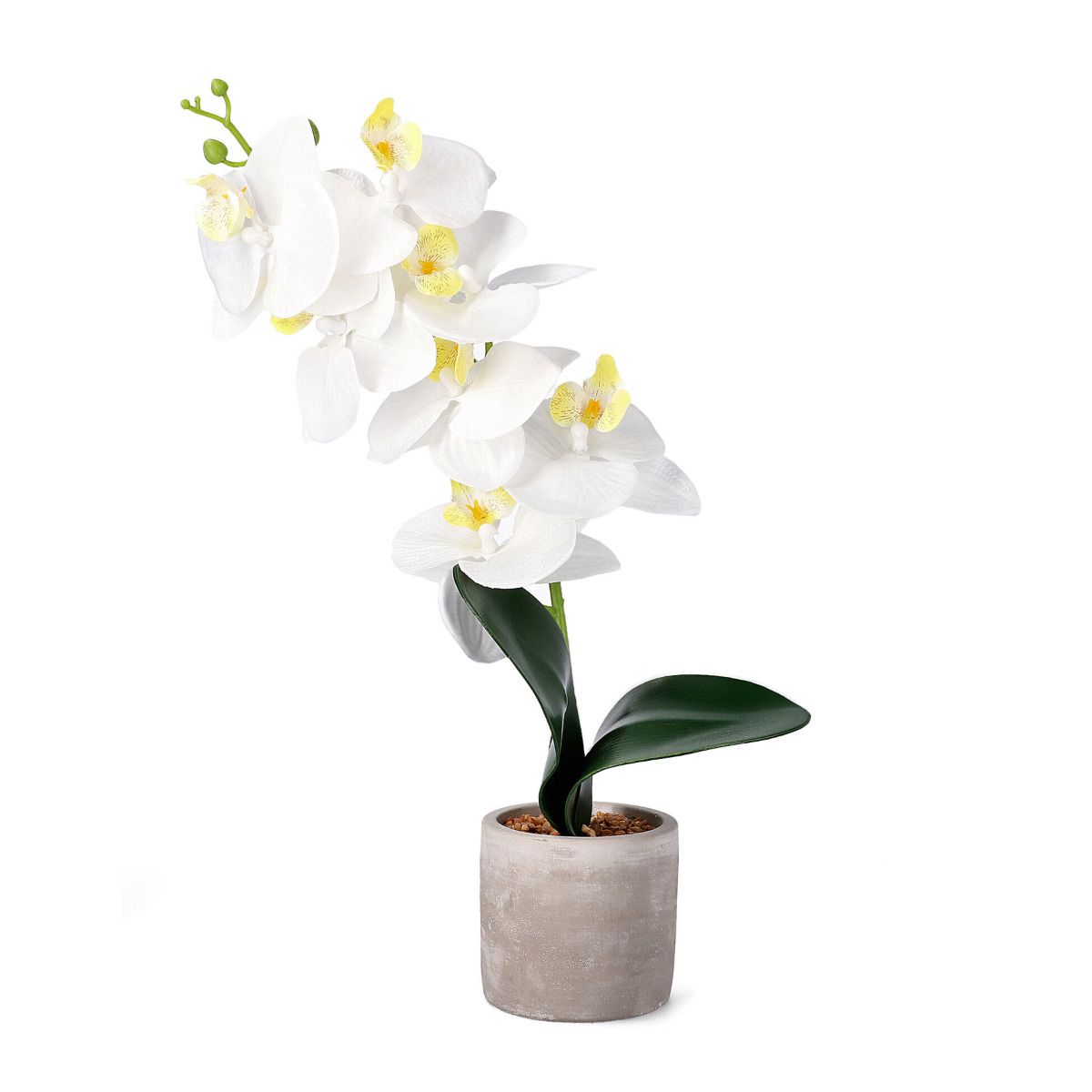 Orhideja ORCHID mākslīgā balta 9x8x49 cm - N1 Home